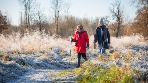 Enjoying a Winter Walk at National Trust